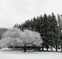 5w1r20