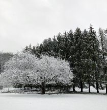 5w1r20